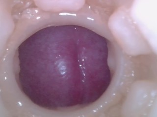Creampie shot, clear internal view.