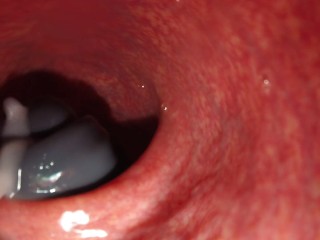 Dragon screws deeply, releasing much in rear.